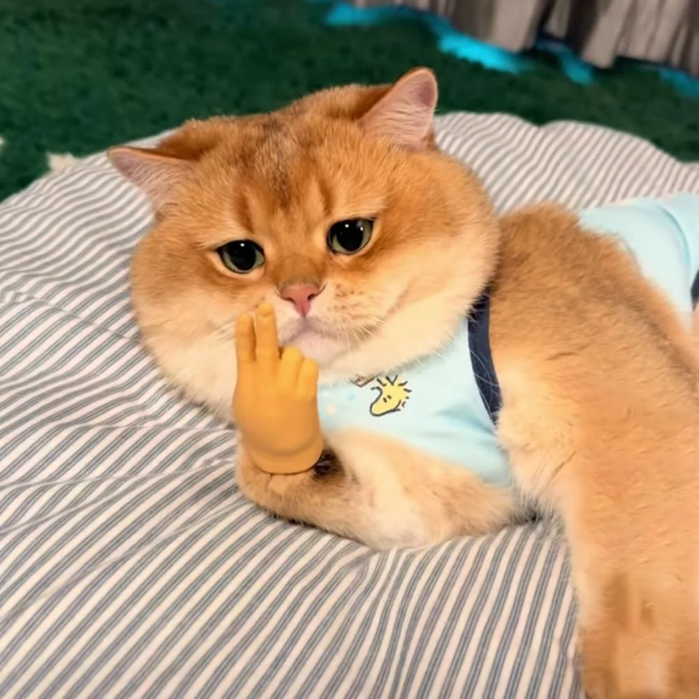 Thumb 2